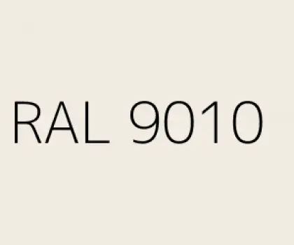 RAL 90107
